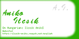 aniko ilcsik business card